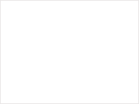 client-logo-Shree-cement